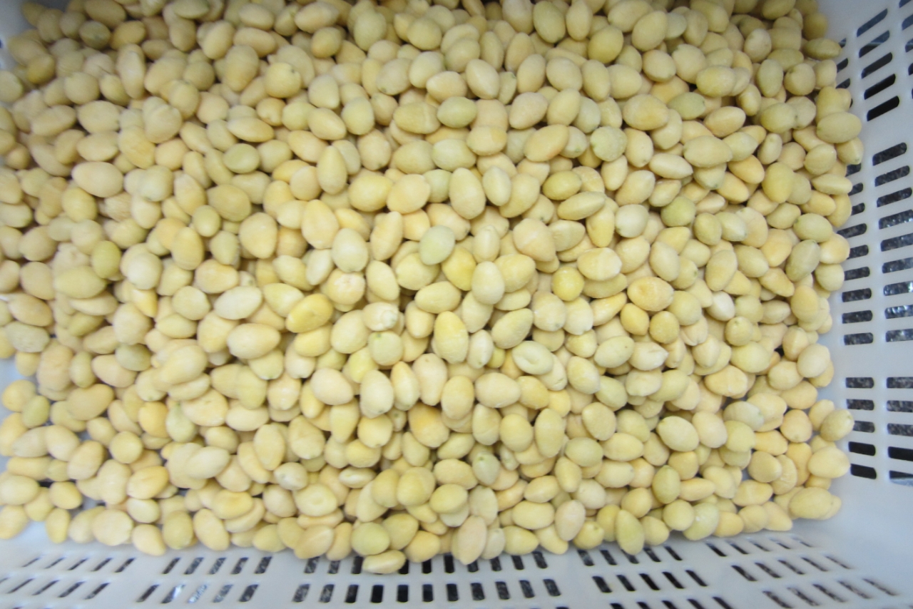 Mmexport1761714232817