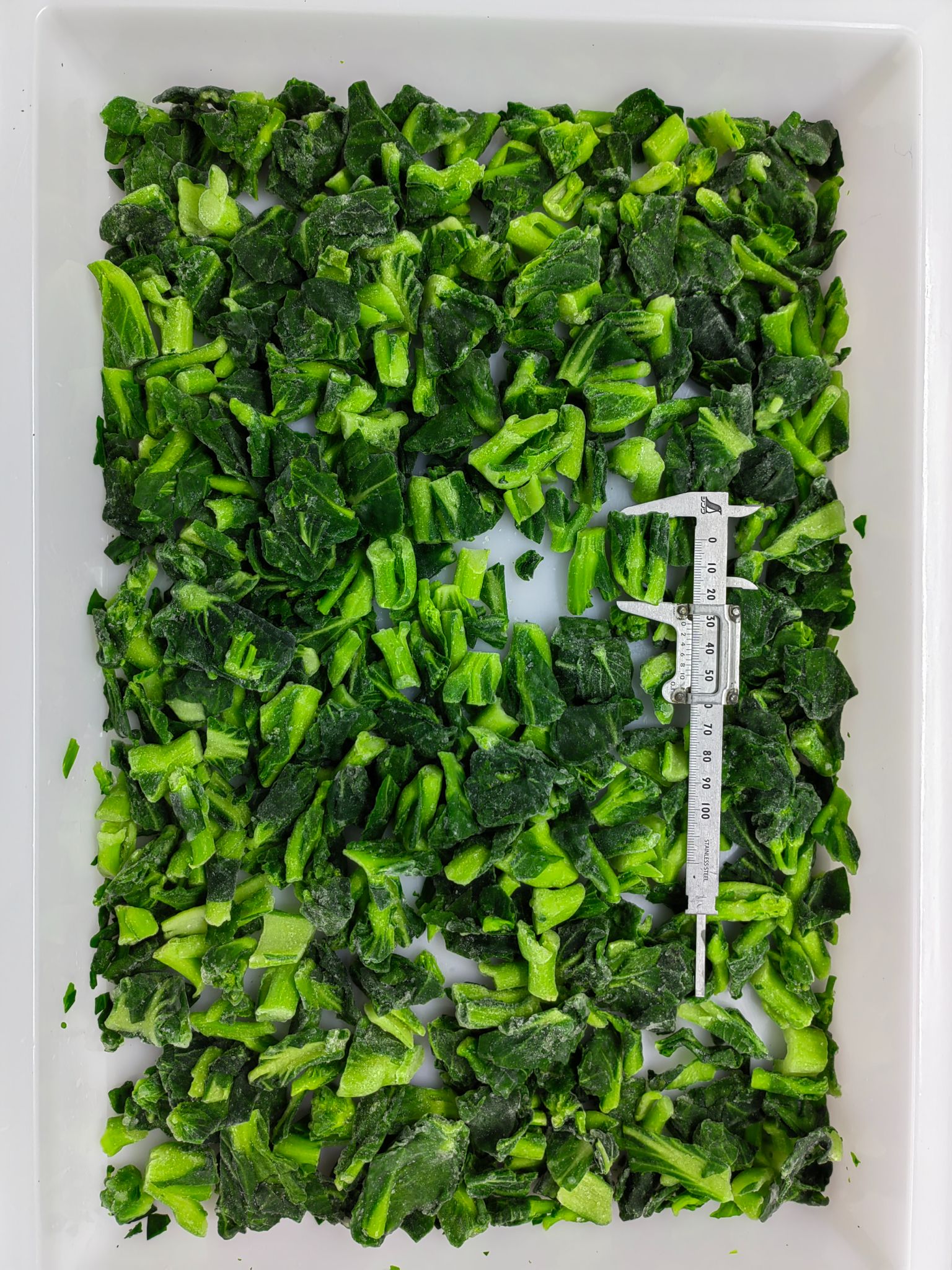 Mmexport1761714288853