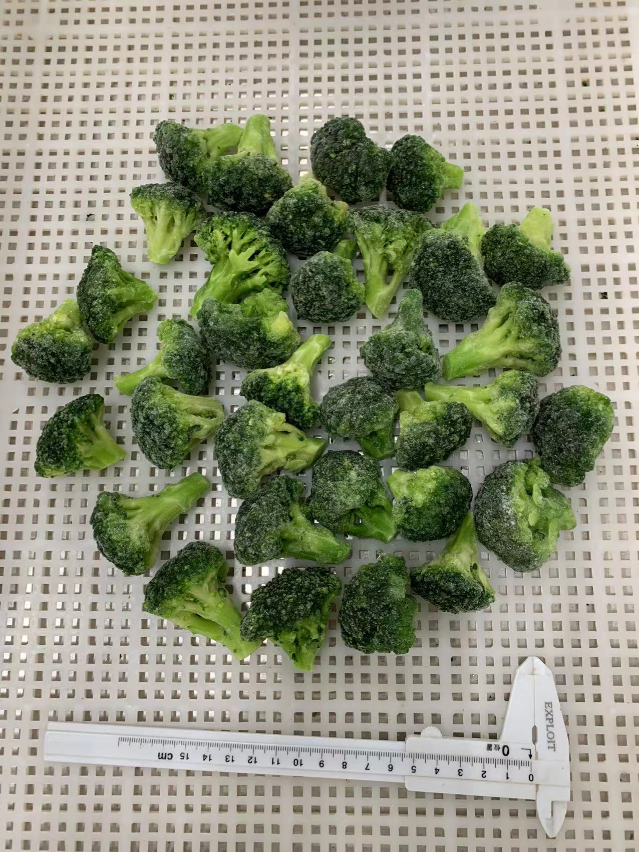 Mmexport1761714291451