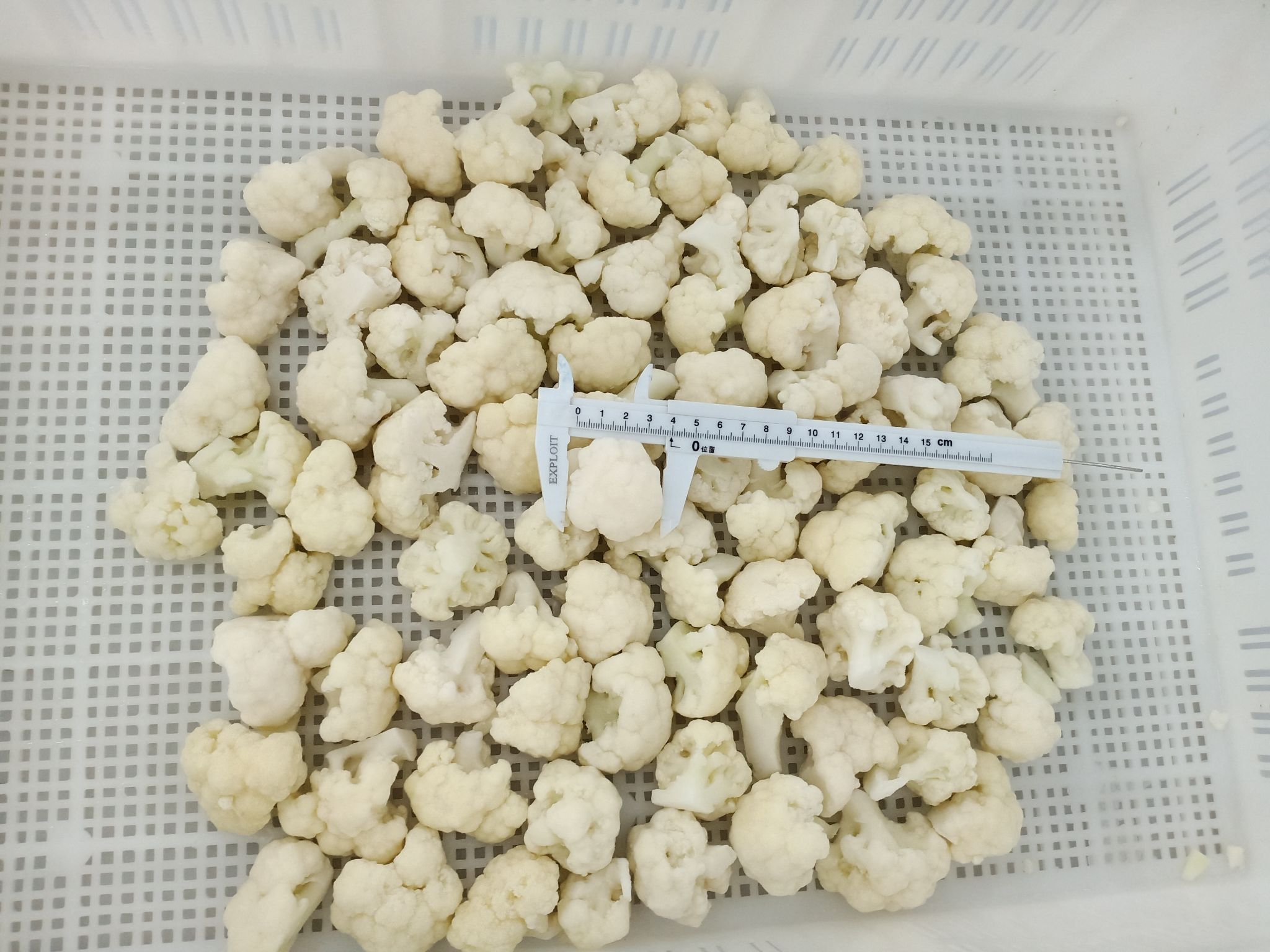 Mmexport1761714293545