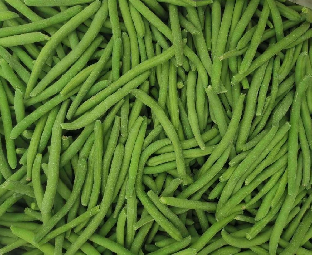 Mmexport1761714257352